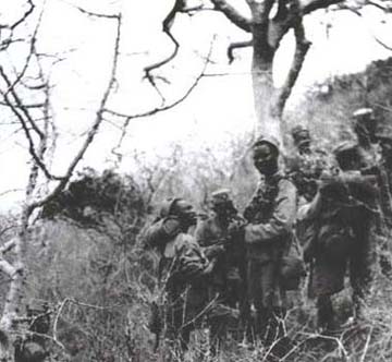 4th King's African Rifles fighting in the bush