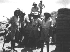 British West Indies Regiment constructing dugouts near Deir el Belah, Palestine