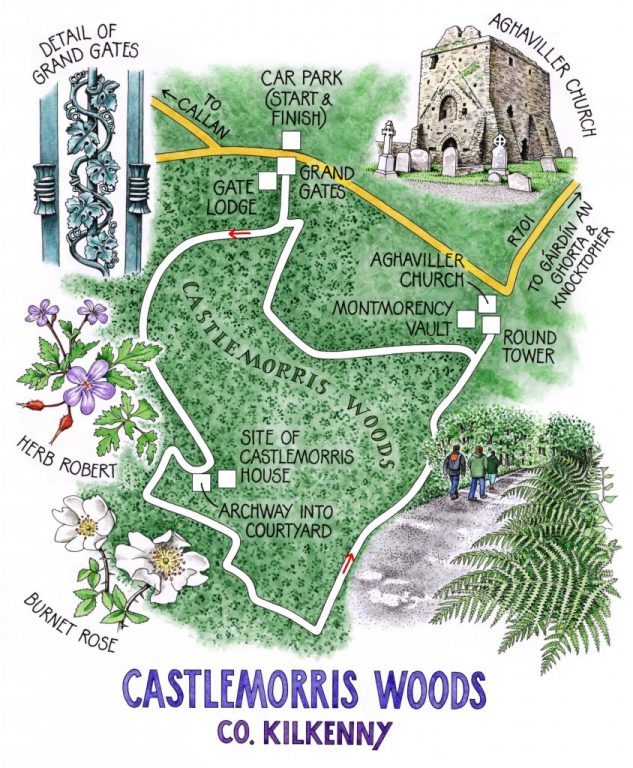 18 Castlemorris Woods