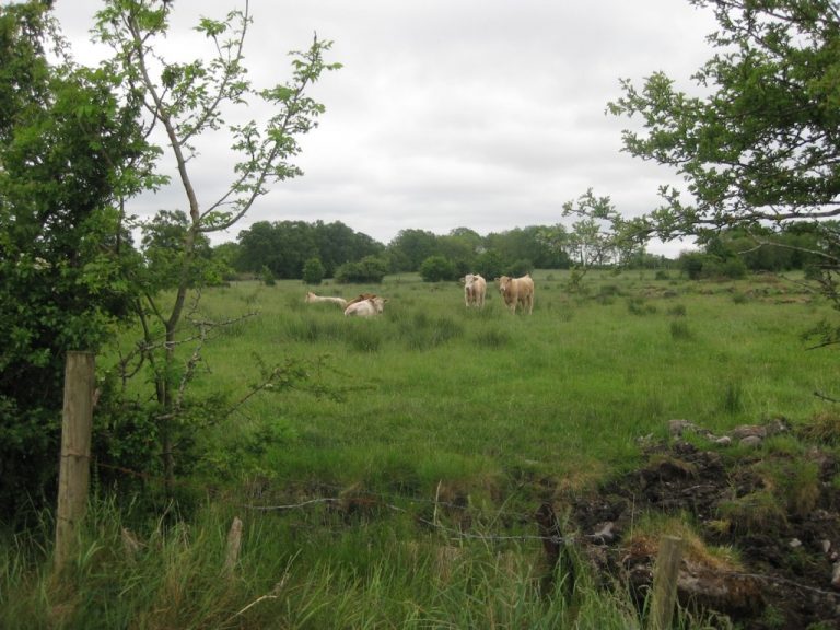 2. Suck Valley Way typical landscape