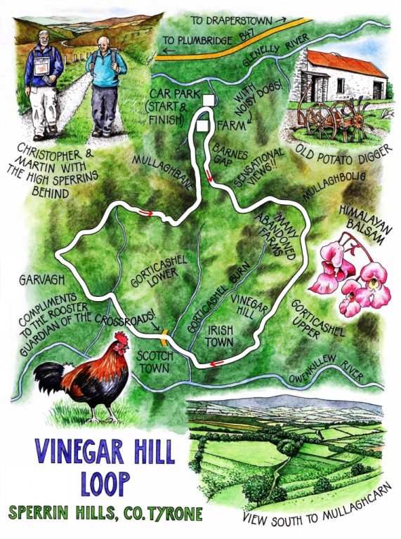 36 Walk of the Week - 28th November - Vinegar Hill Loop