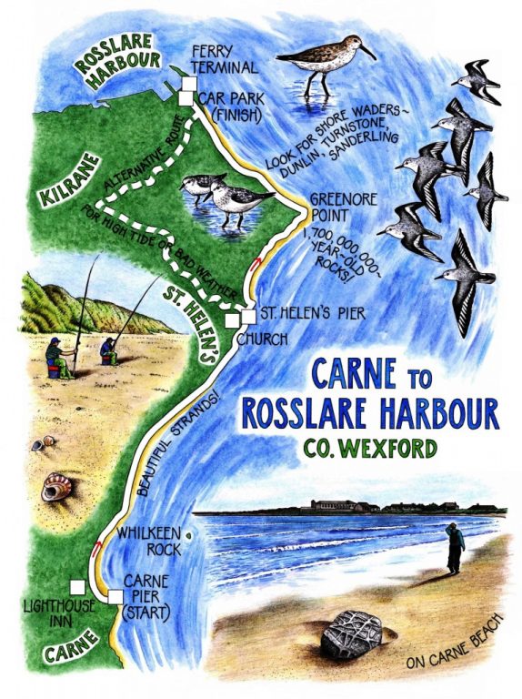39 Walk of the Week - 19th December - Carne to Rosslare Harbour