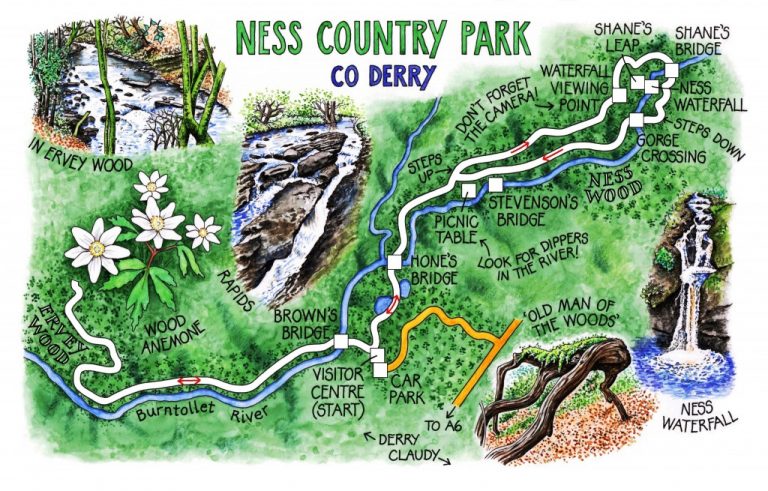 Walk of the Week - 12 June - Ness Country Park- Claire Littlejohn's map