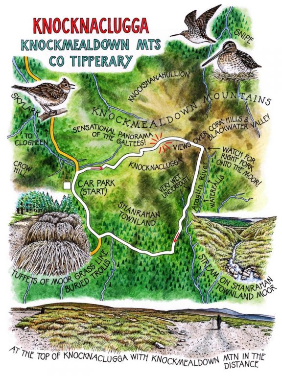 Walk of the Week - 14 May - Knocknaclugga Claire's