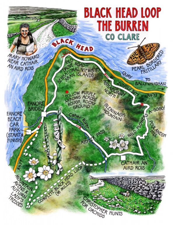 Walk of the Week - 15 May - Black Head Loop - Claire's map