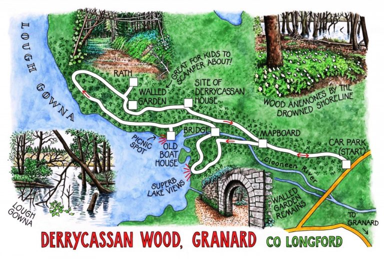 Walk of the Week - 19 June - Derrycassan Wood