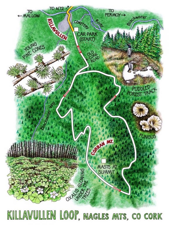 Walk of the Week - 30 April - Killavullen Loop