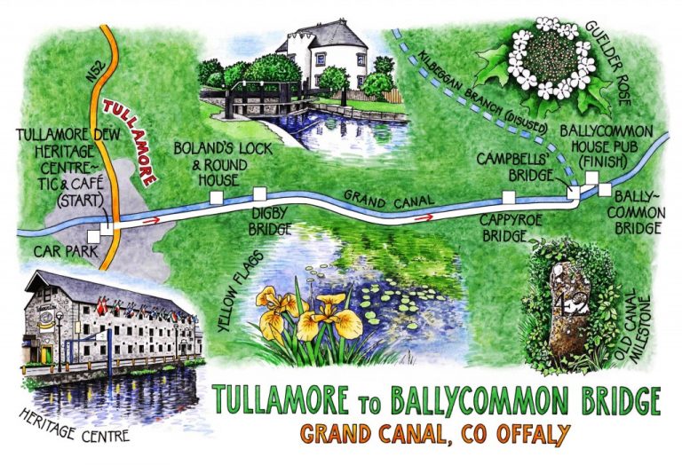 Walk of the Week - 31 July - Tullamore, Grand Canal - Claire's map