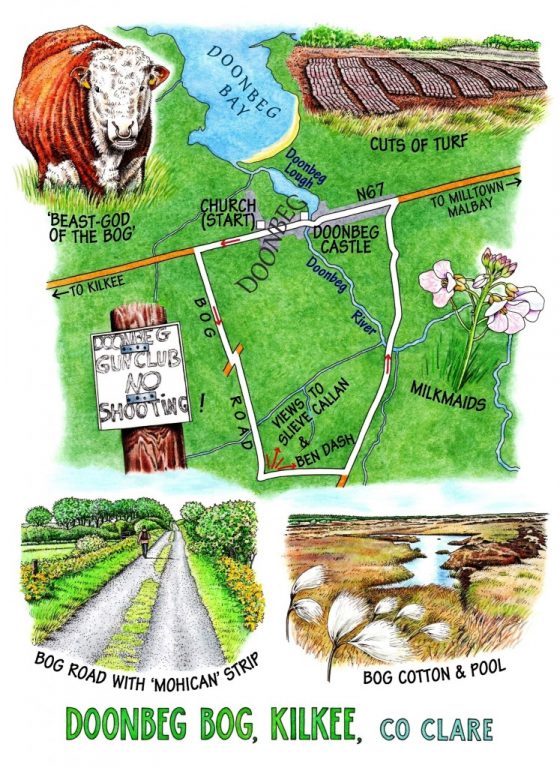 Walk of the Week No. 125 - Doonbeg Bog for website